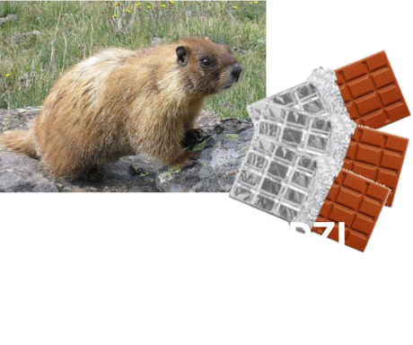 Nadruk sreberka - Przód