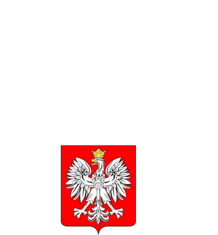 Nadruk Jestem problemem Męska czarna - Przód