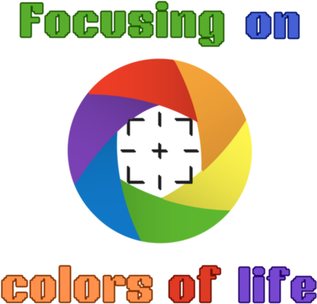 Nadruk Focusing on colors of life - Przód